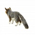 Мягкая игрушка Серая лисица стоящая 40 см  - миниатюра №2